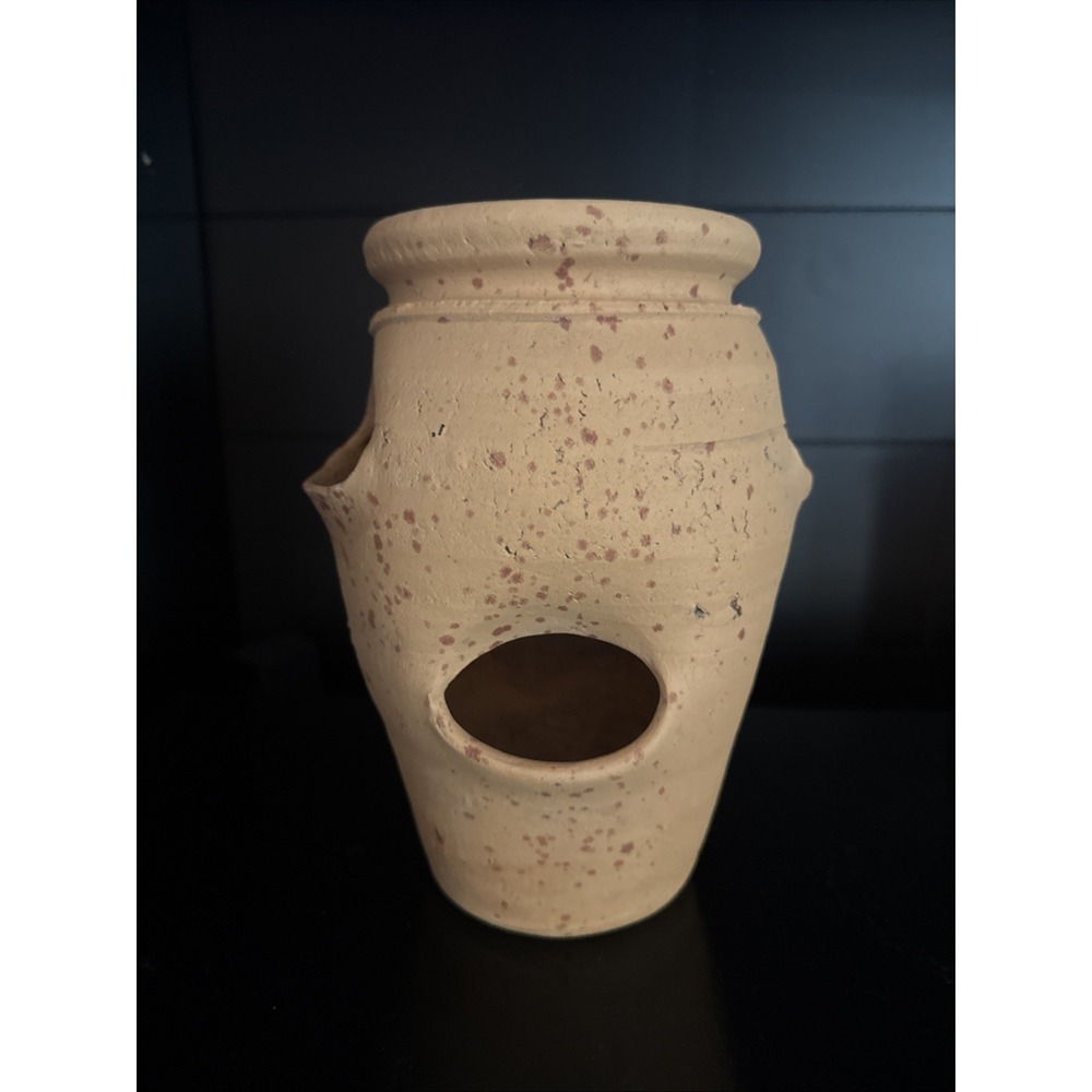 Craven Pottery Terra Cotta Strawberry Hens Chicks Planter Pot 10" 4 Holes Large